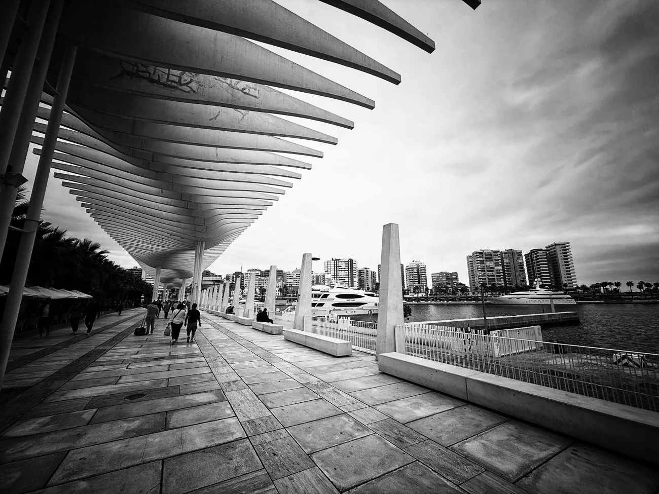 Himmel und Baumkrone